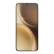 Vivo X300 Pro V2514 12/256Gb (международная версия)